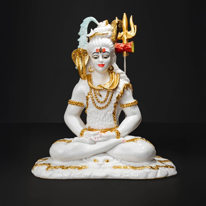 Lord Shiva: The Meditating Yogi
