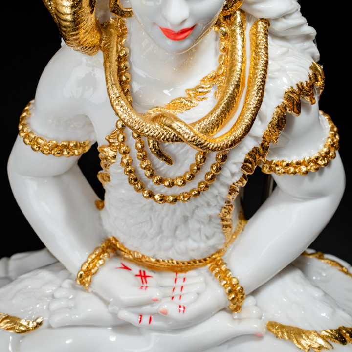 Lord Shiva: The Meditating Yogi