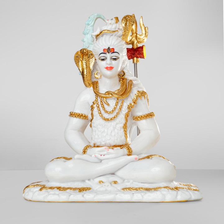 Lord Shiva: The Meditating Yogi