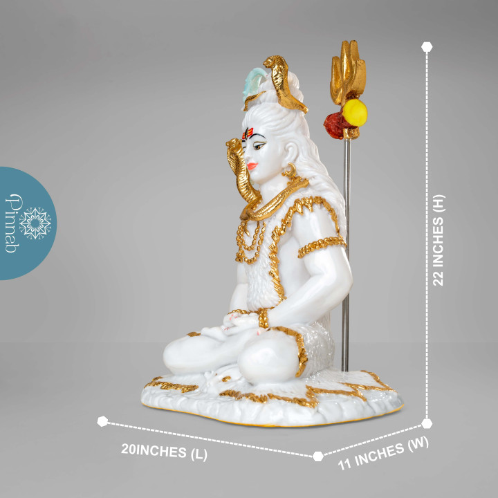 Lord Shiva: The Meditating Yogi