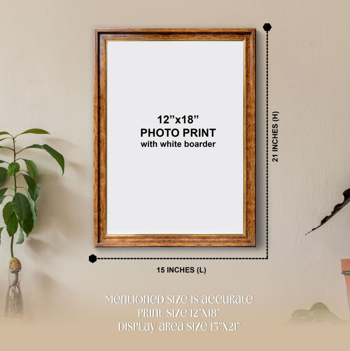Elegant Brown Wood Finish Photo Frame with 12