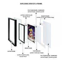 Premium Framed Print with Protective Features